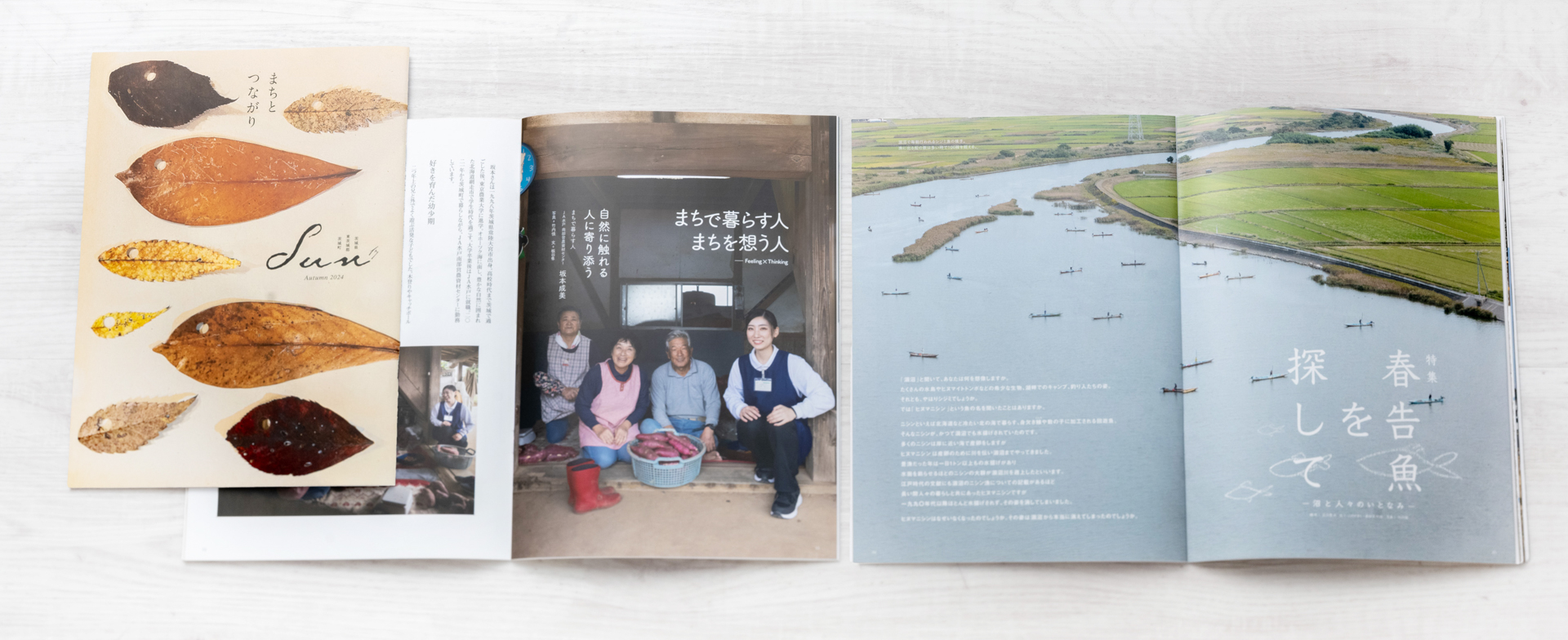 SUN第17号秋号2024